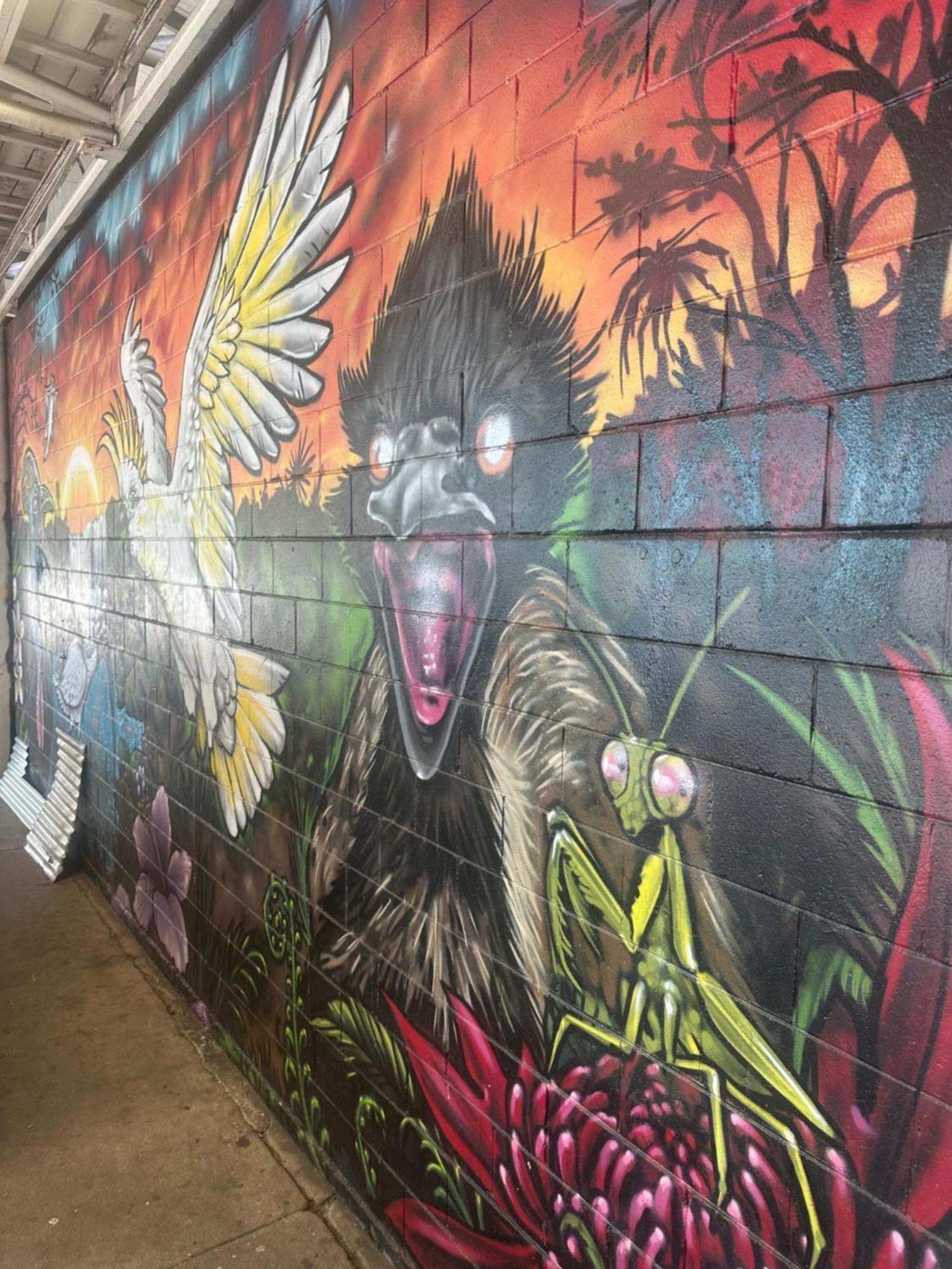 Habitat Backpackers Pansiyon Brisbane Dış mekan fotoğraf
